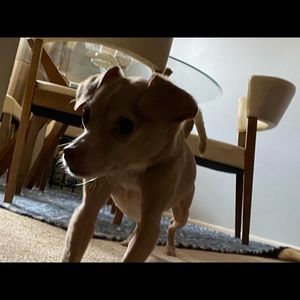 Meet your Posher, Sharon